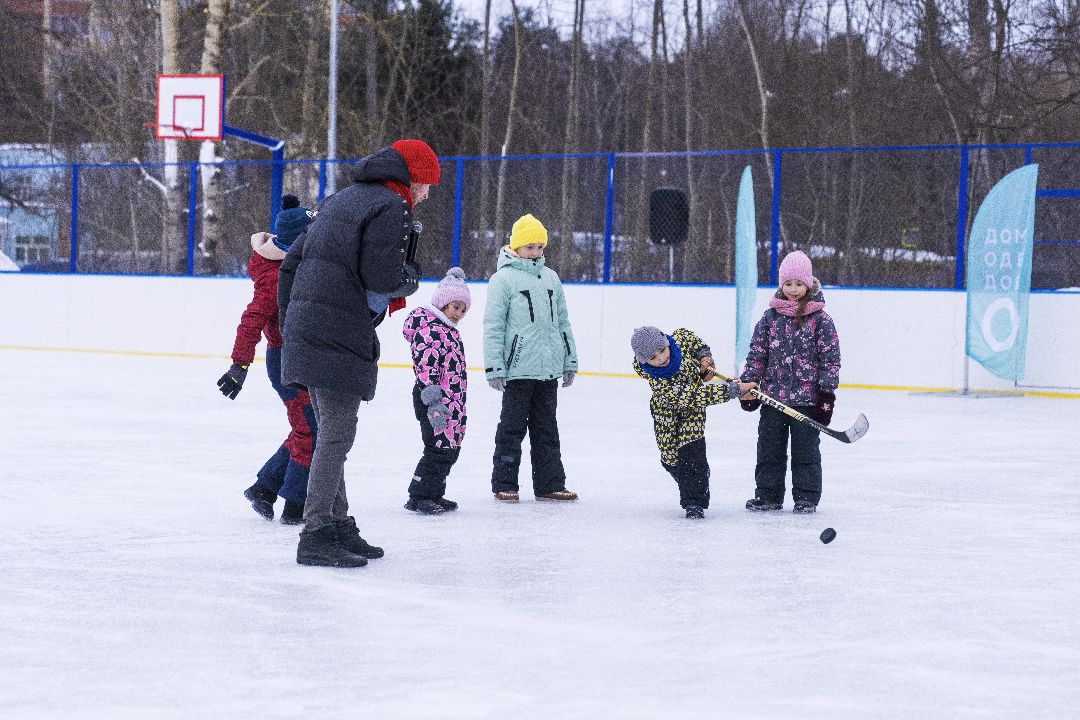 Домодедово Спортивная площадка