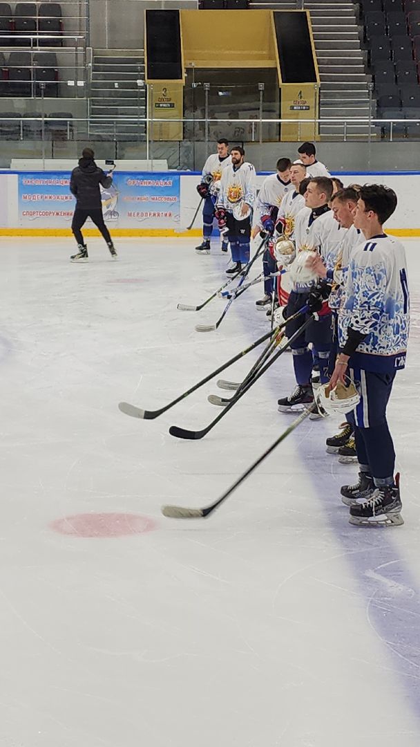электросталь, павловский посад, хоккей, хоккейная лига, хоккеисты, электросталь спортивная, матч, первенство московской области, подмосковье,ледовый дворец,