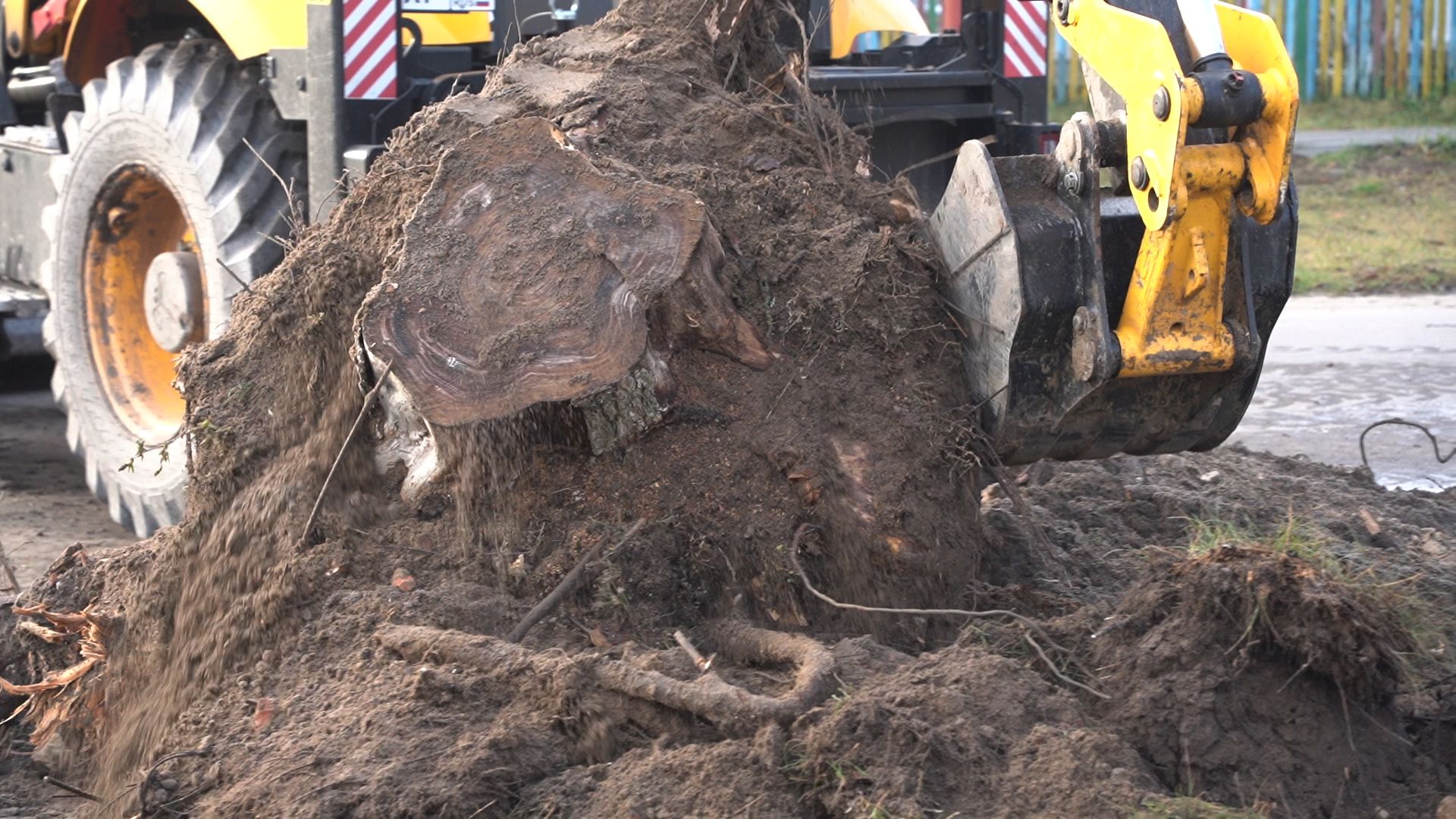 Большая Шатура, благоустройство, пни, корчевание,