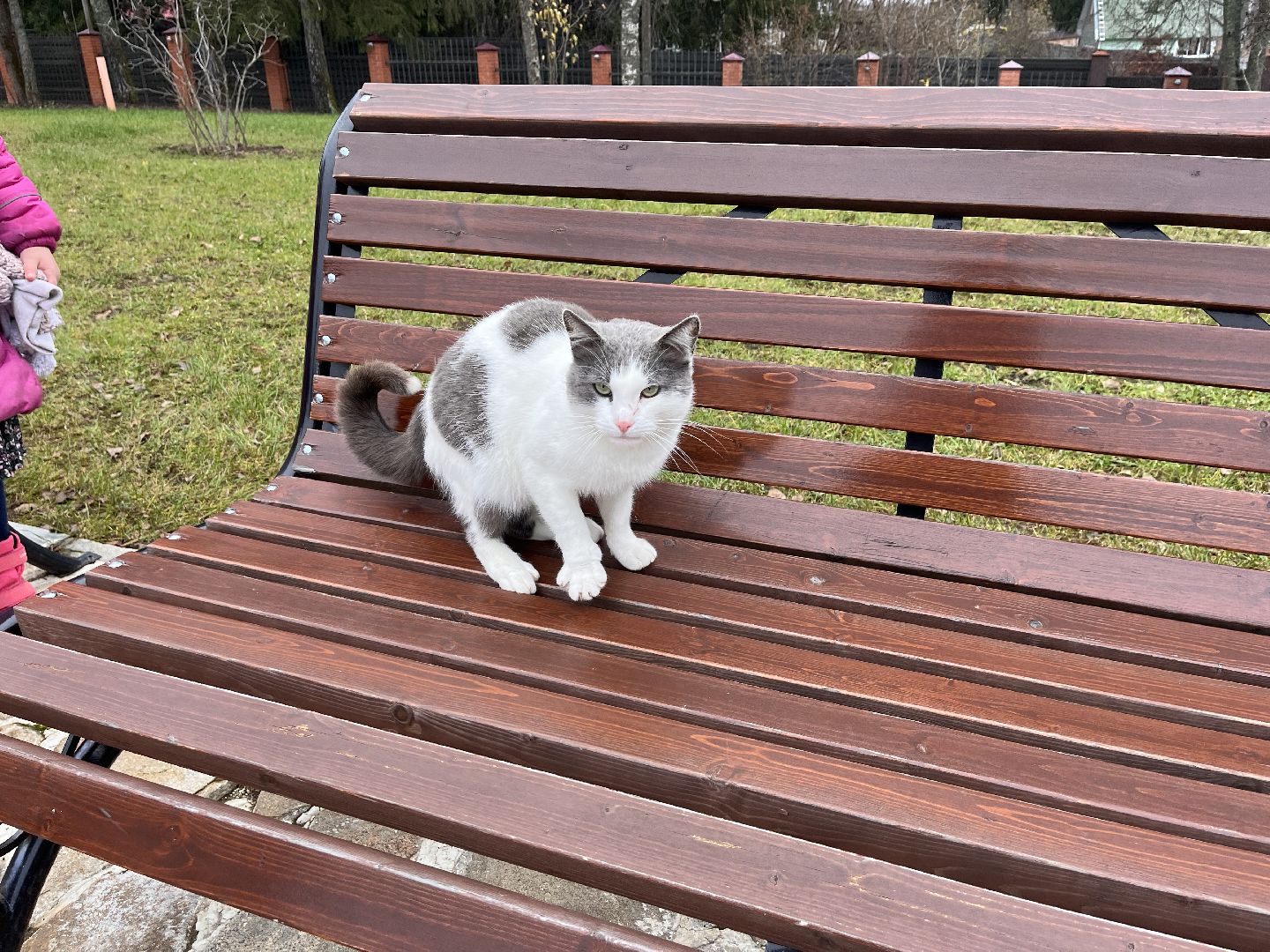 Шаховская, воскресная школа, церковь, храм,