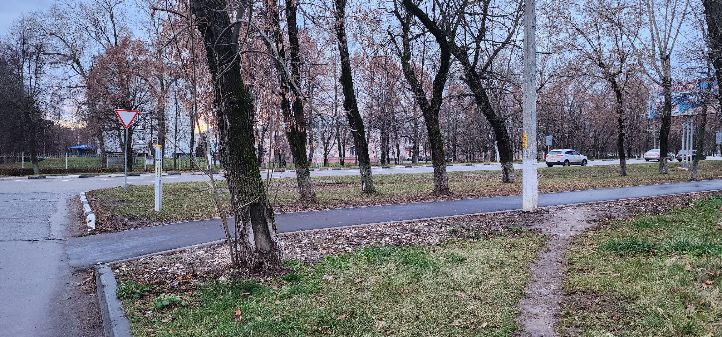 Коломна, тротуары, безопасные дороги,