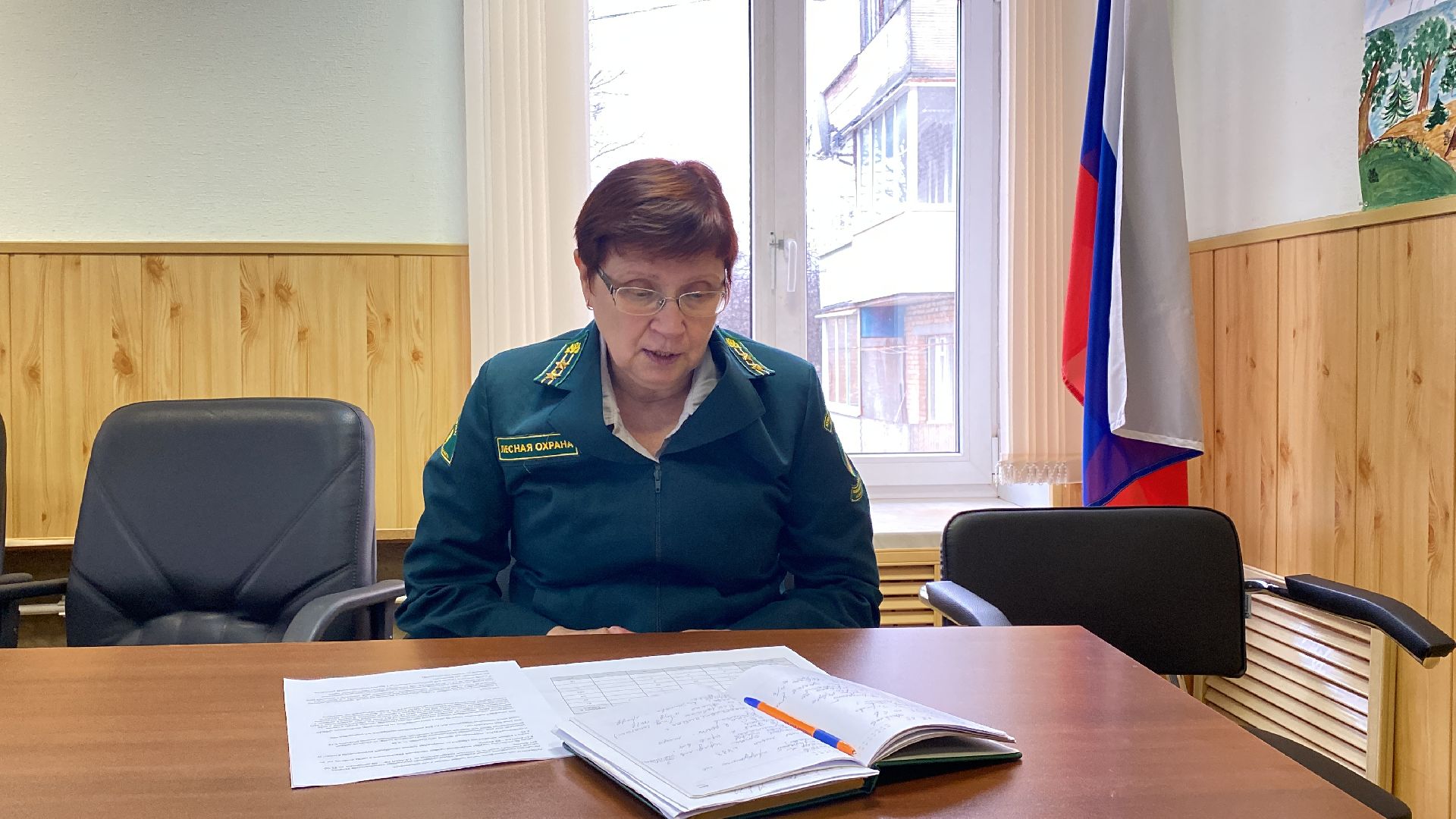 волоколамск, лесничий, мособллес, деревья, спил деревьев, костры, правонарушение,