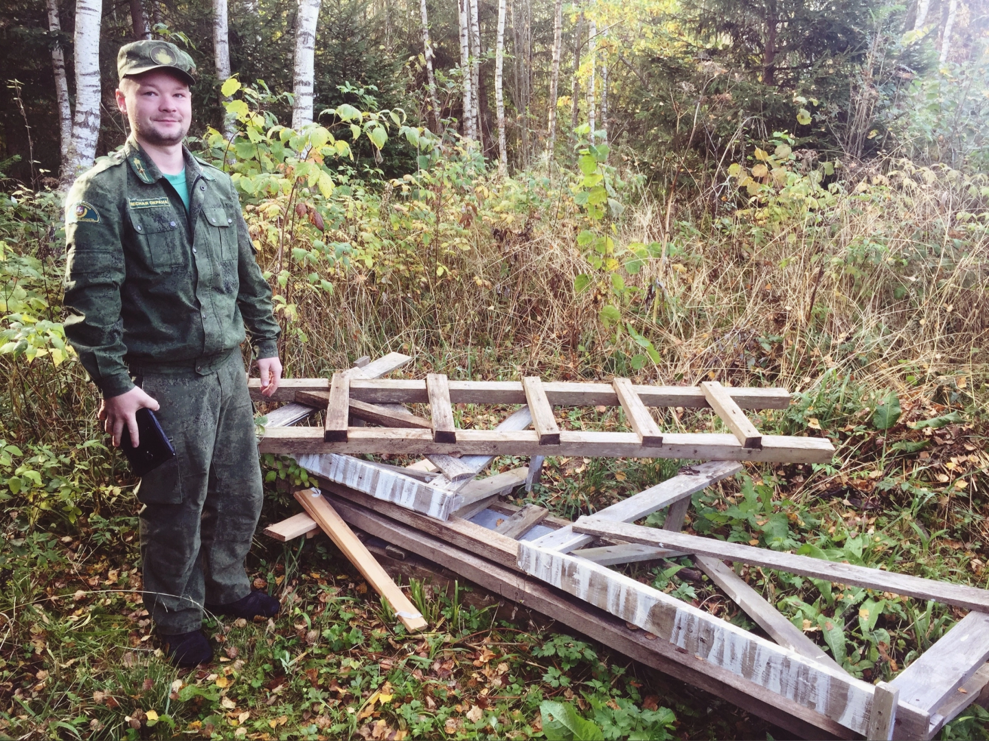 волоколамск, лесничий, мособллес, деревья, спил деревьев, костры, правонарушение,