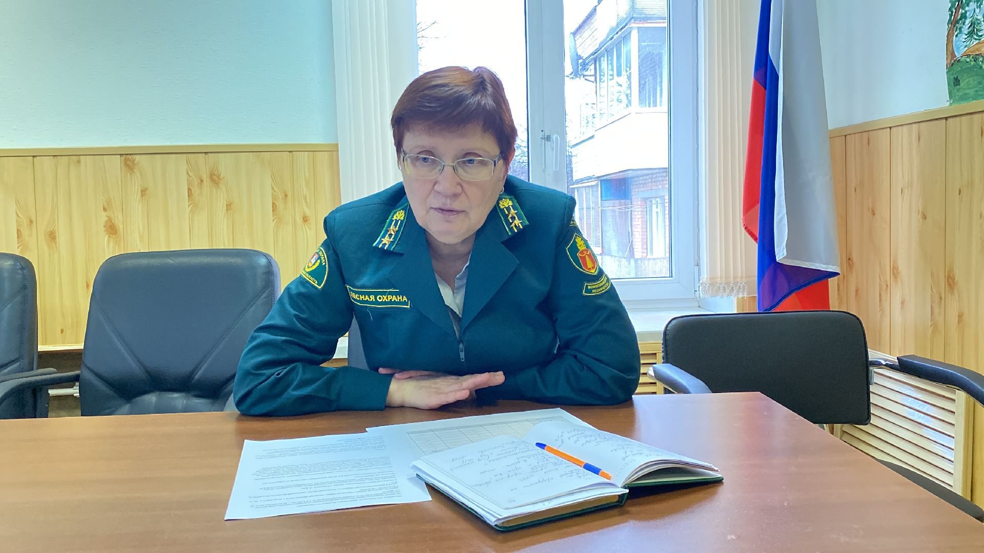 волоколамск, лесничий, мособллес, деревья, спил деревьев, костры, правонарушение,