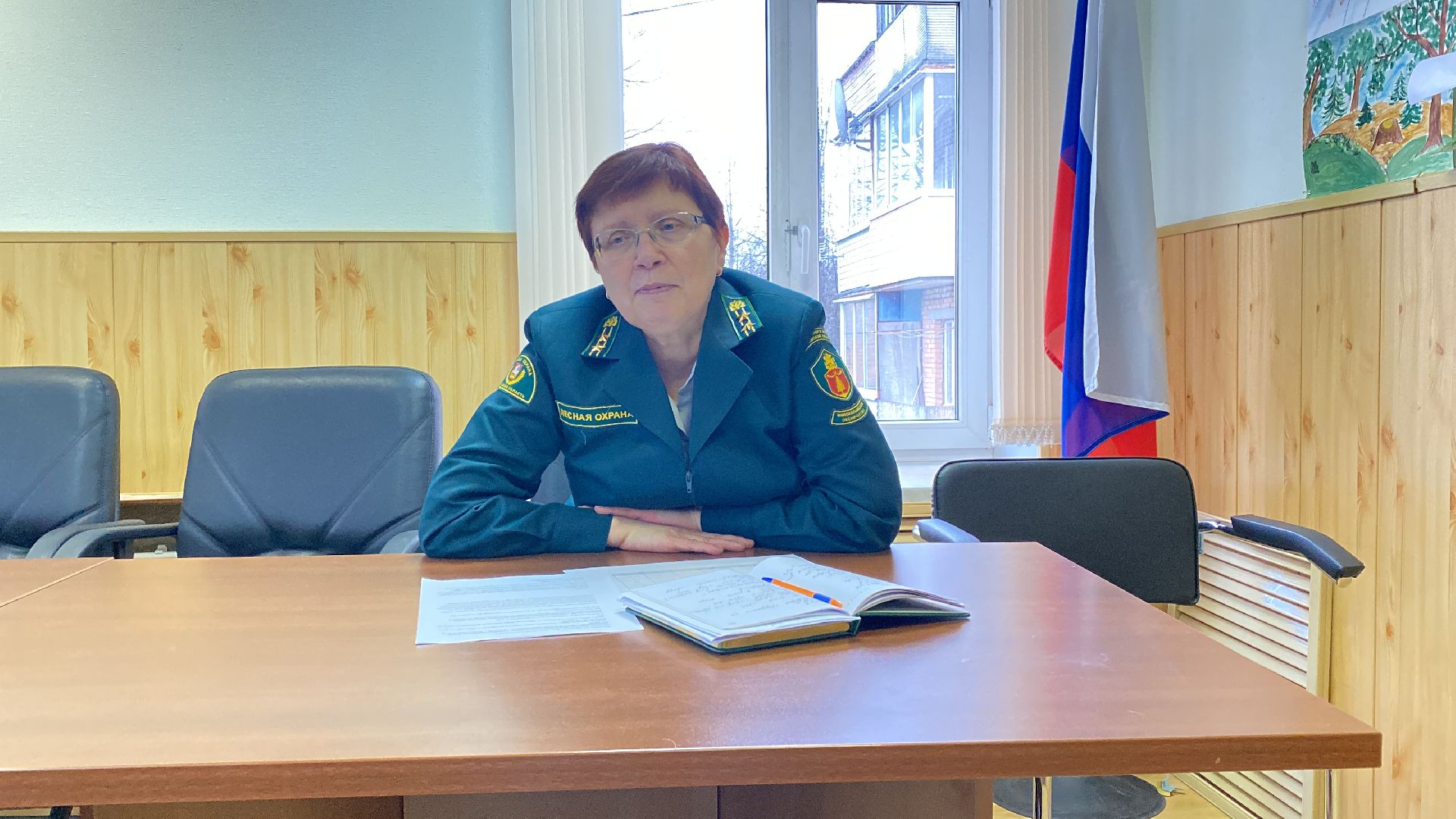 волоколамск, лесничий, мособллес, деревья, спил деревьев, костры, правонарушение,