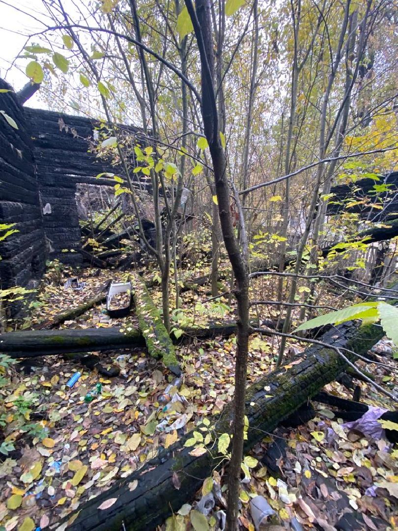 пушкино, реконструкция здания, станция, реставрация,