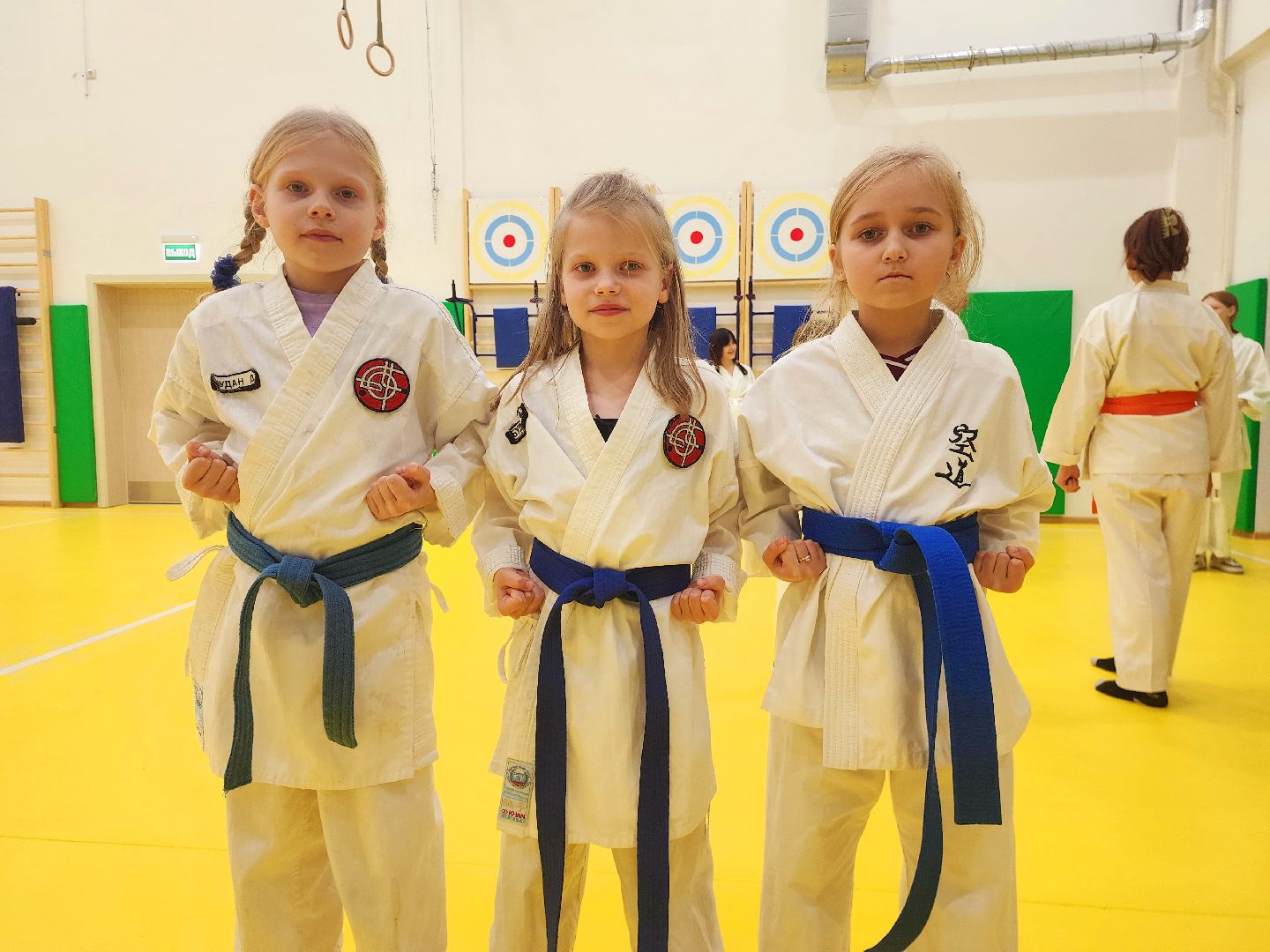 шатура, каратэ, городской округ спорт, лицей, перспектива, секция спорта,Будан, японская борьба,