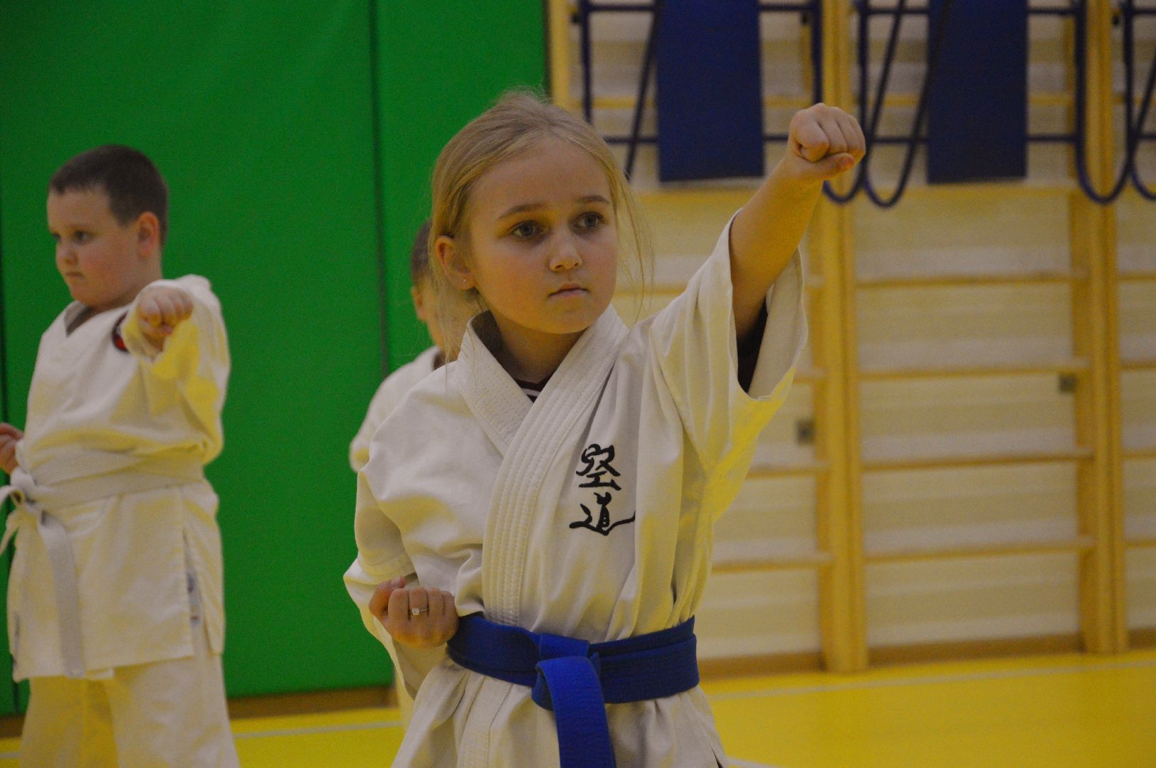 шатура, каратэ, городской округ спорт, лицей, перспектива, секция спорта,Будан, японская борьба,
