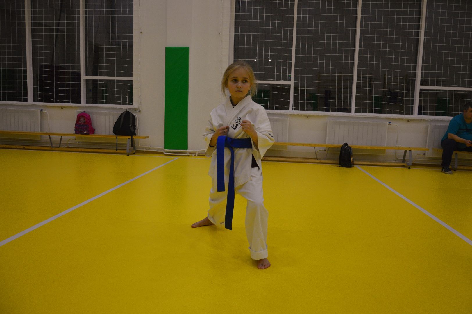 шатура, каратэ, городской округ спорт, лицей, перспектива, секция спорта,Будан, японская борьба,