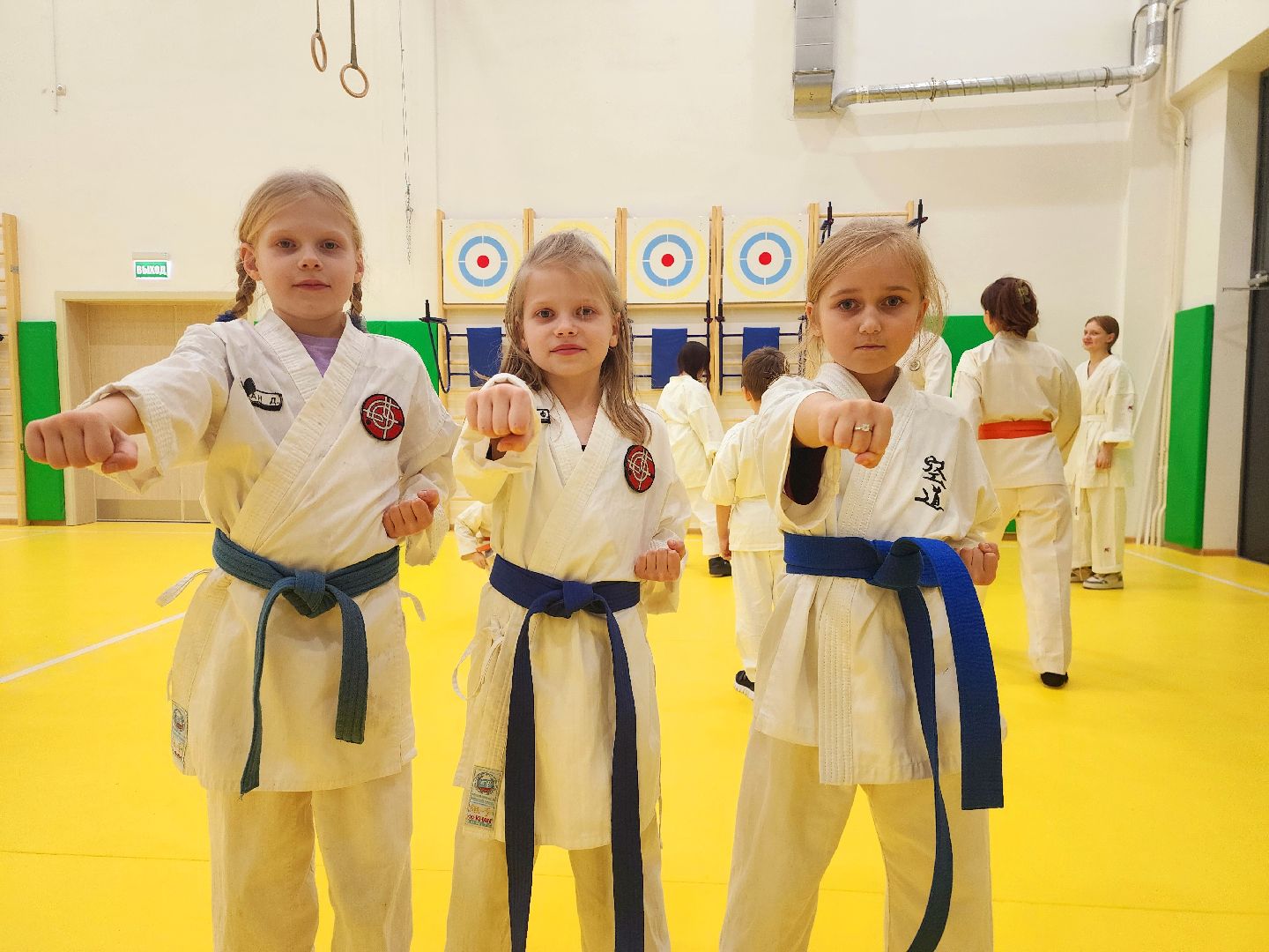 шатура, каратэ, городской округ спорт, лицей, перспектива, секция спорта,Будан, японская борьба,