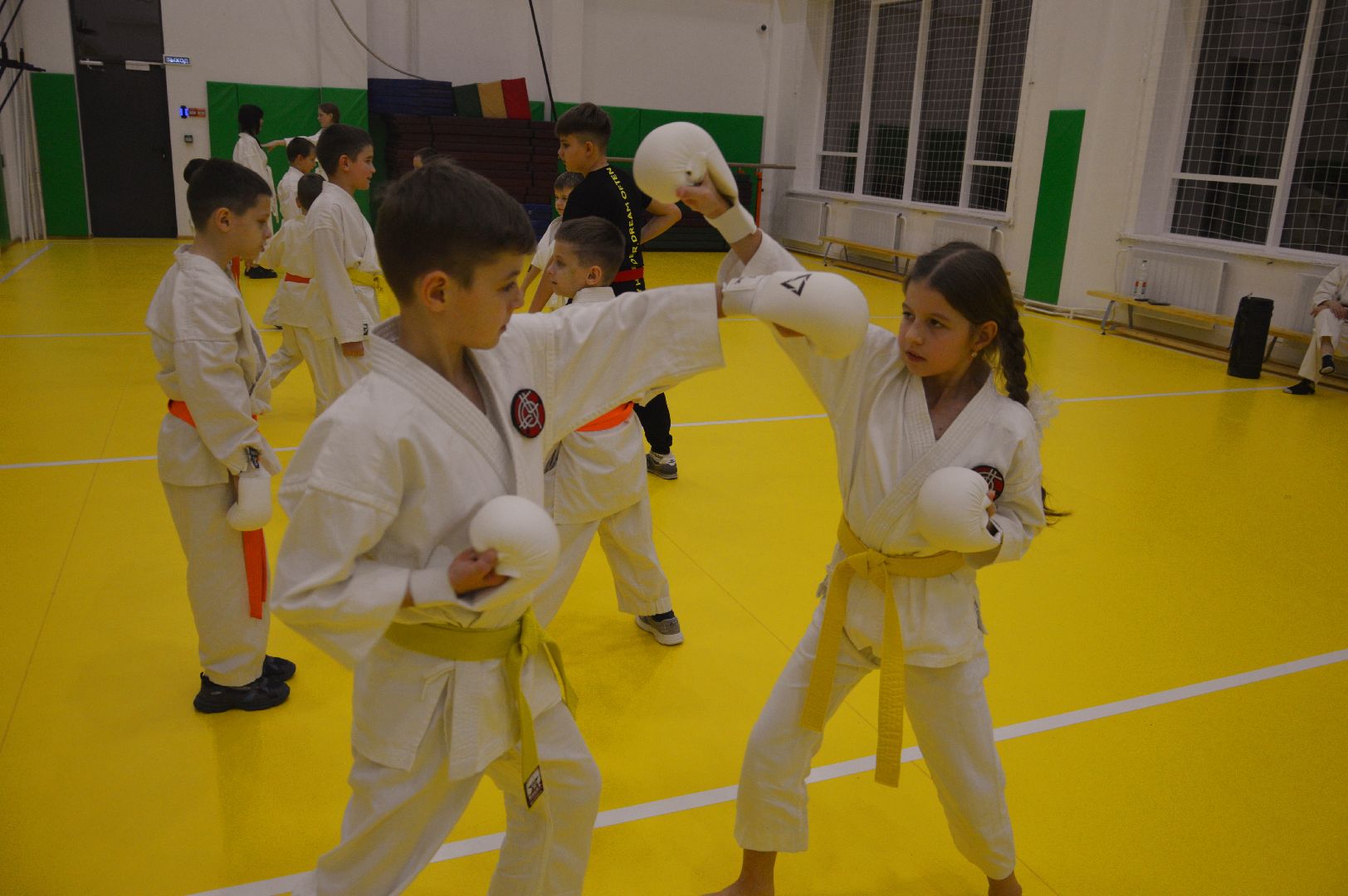 шатура, каратэ, городской округ спорт, лицей, перспектива, секция спорта,Будан, японская борьба,