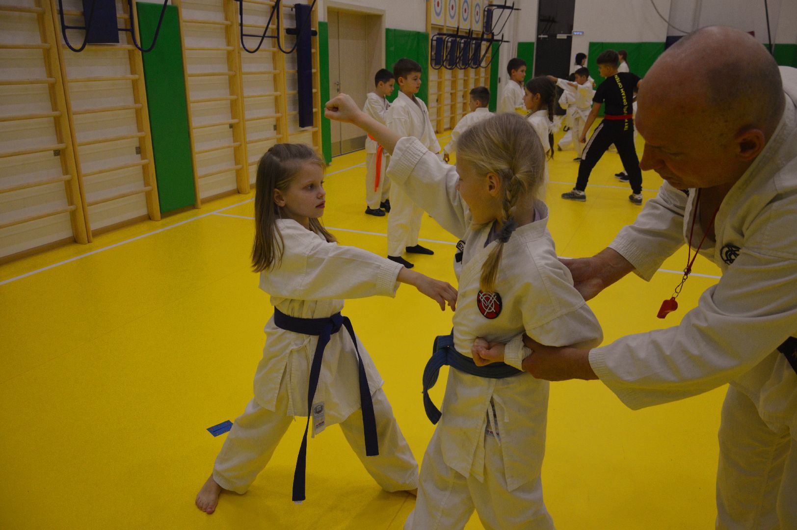 шатура, каратэ, городской округ спорт, лицей, перспектива, секция спорта,Будан, японская борьба,
