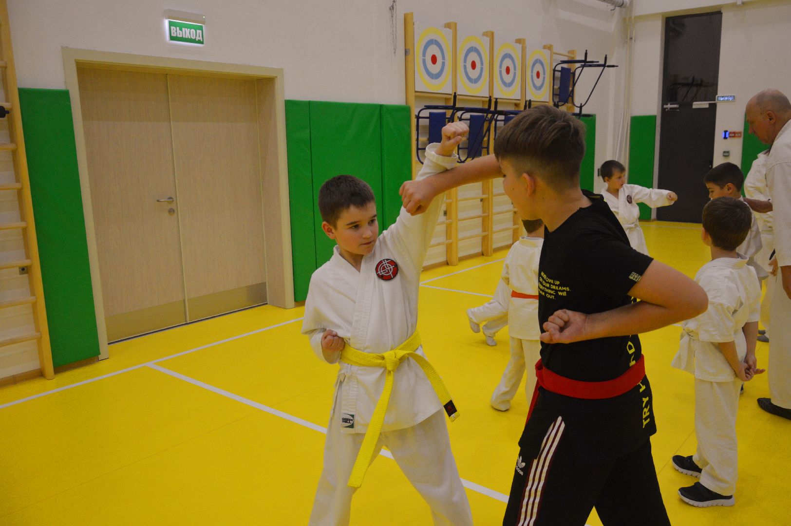 шатура, каратэ, городской округ спорт, лицей, перспектива, секция спорта,Будан, японская борьба,