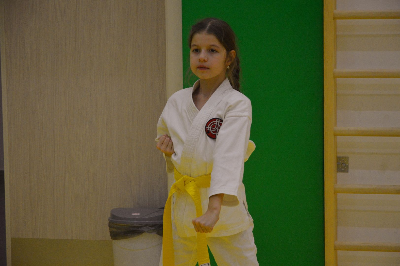 шатура, каратэ, городской округ спорт, лицей, перспектива, секция спорта,Будан, японская борьба,