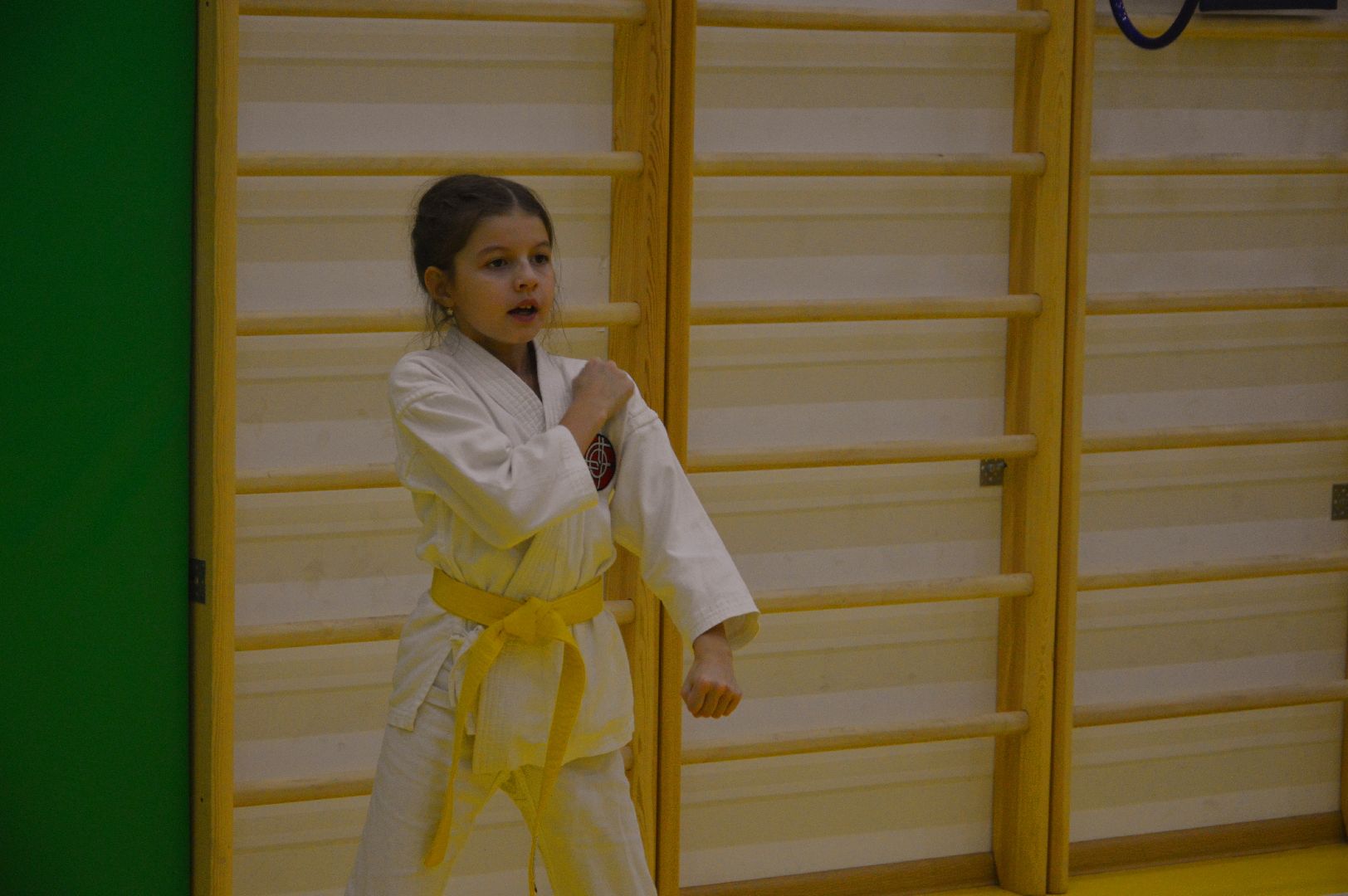 шатура, каратэ, городской округ спорт, лицей, перспектива, секция спорта,Будан, японская борьба,