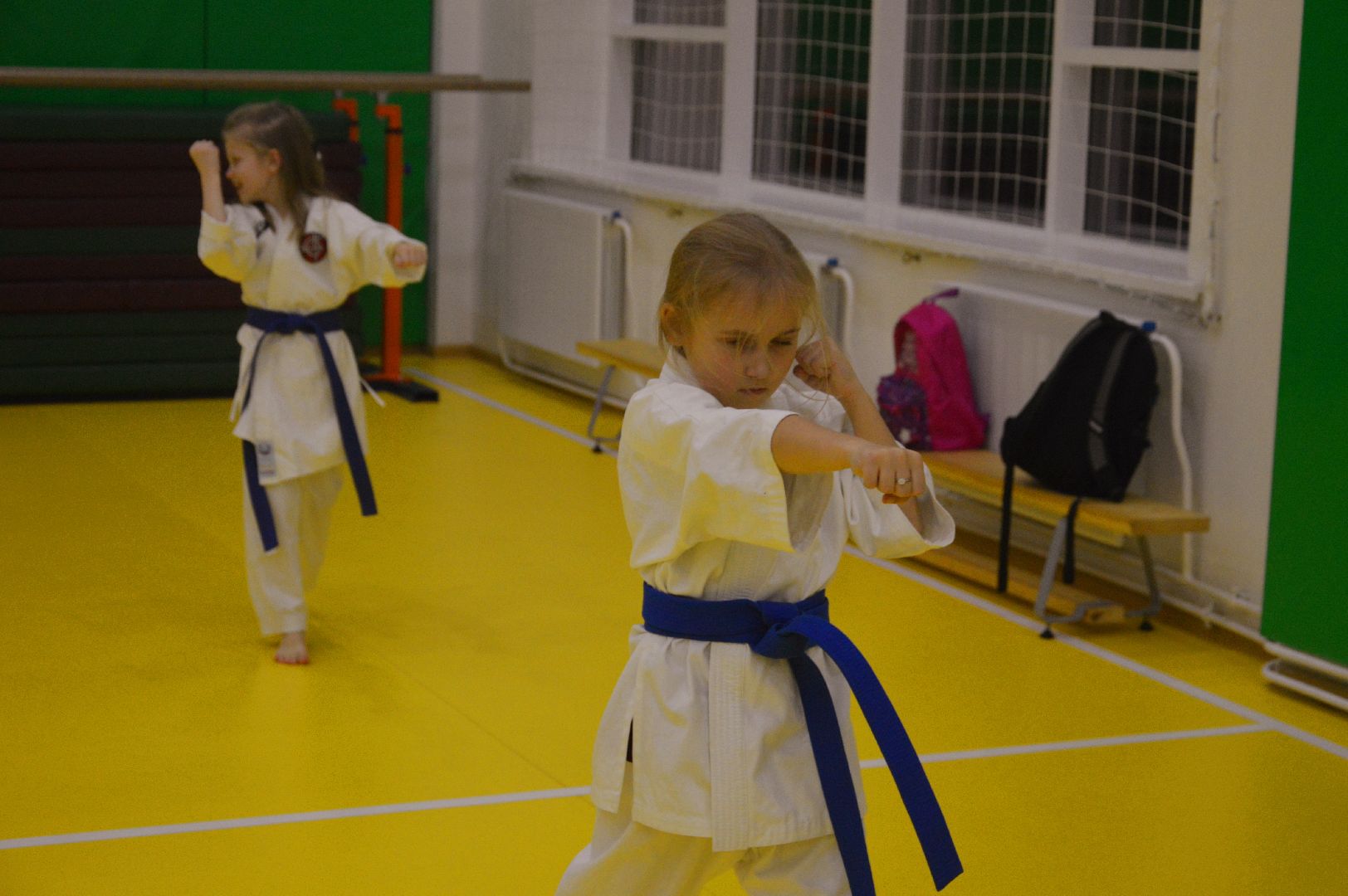 шатура, каратэ, городской округ спорт, лицей, перспектива, секция спорта,Будан, японская борьба,