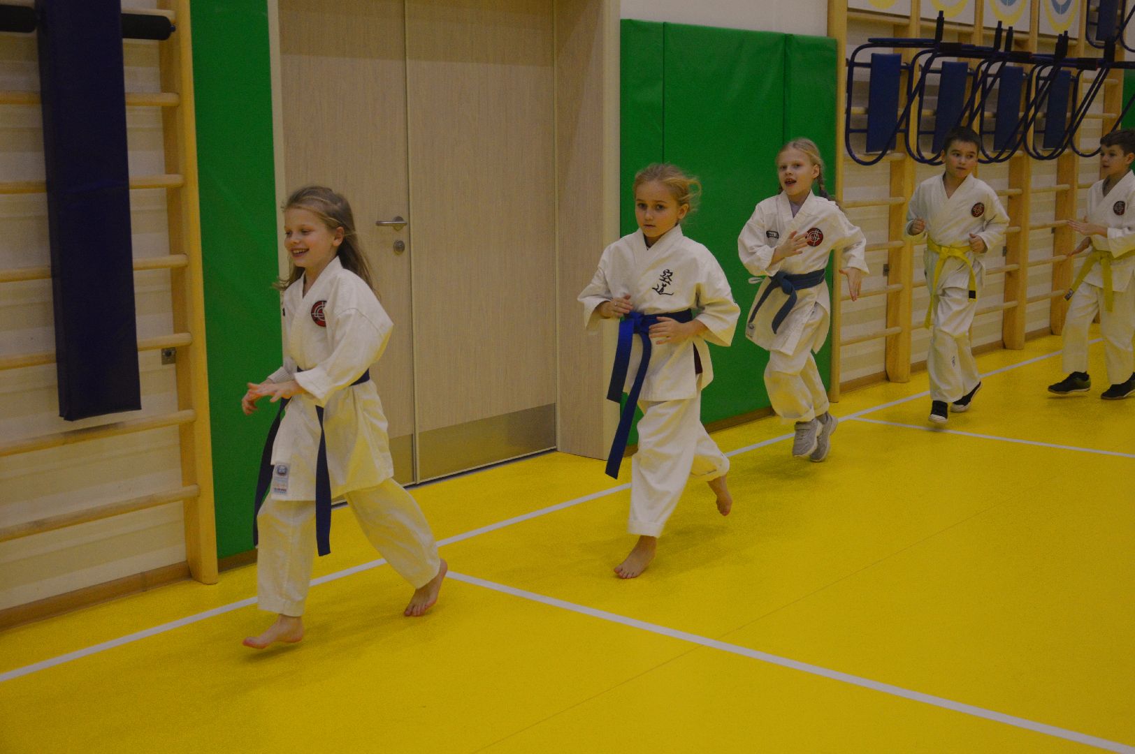 шатура, каратэ, городской округ спорт, лицей, перспектива, секция спорта,Будан, японская борьба,