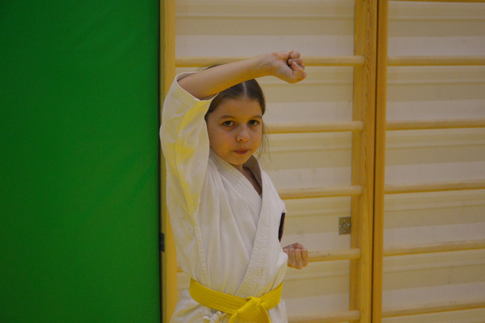 шатура, каратэ, городской округ спорт, лицей, перспектива, секция спорта,Будан, японская борьба,