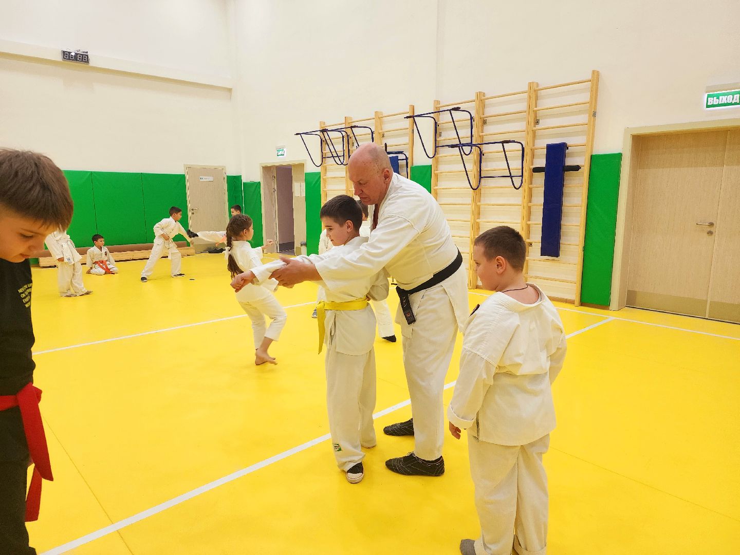 шатура, каратэ, городской округ спорт, лицей, перспектива, секция спорта,Будан, японская борьба,