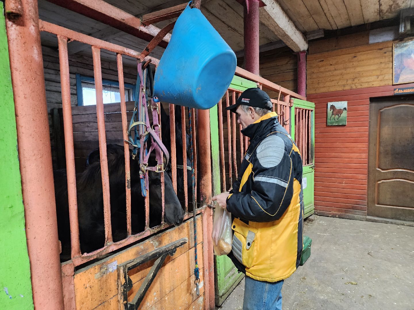 пушкино, конный клуб, активное долголетие, экскурсии,