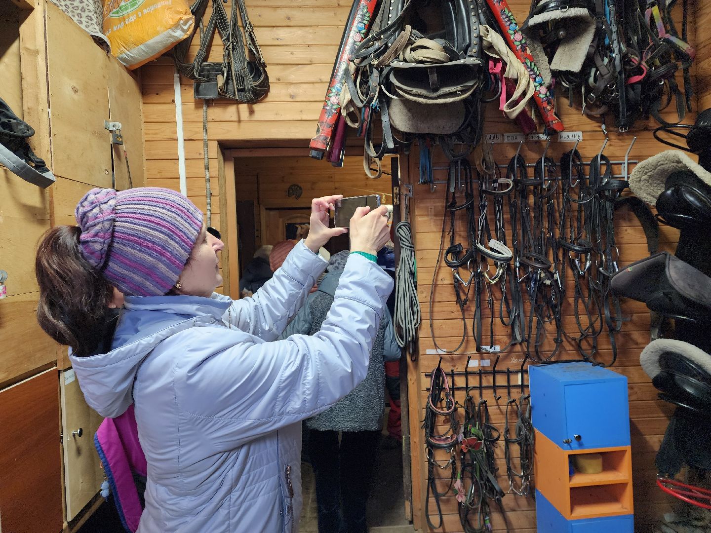 пушкино, конный клуб, активное долголетие, экскурсии,