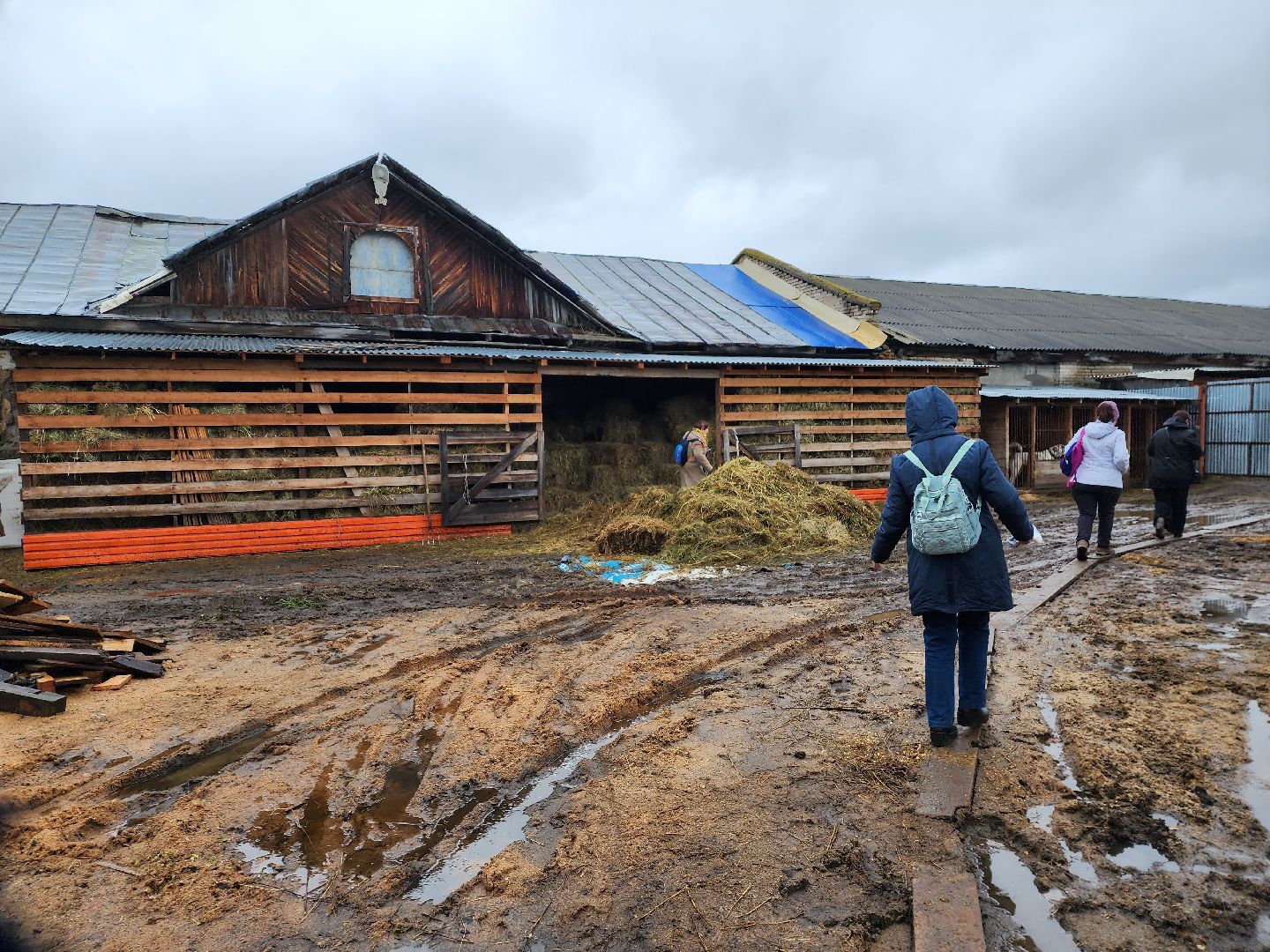 пушкино, конный клуб, активное долголетие, экскурсии,