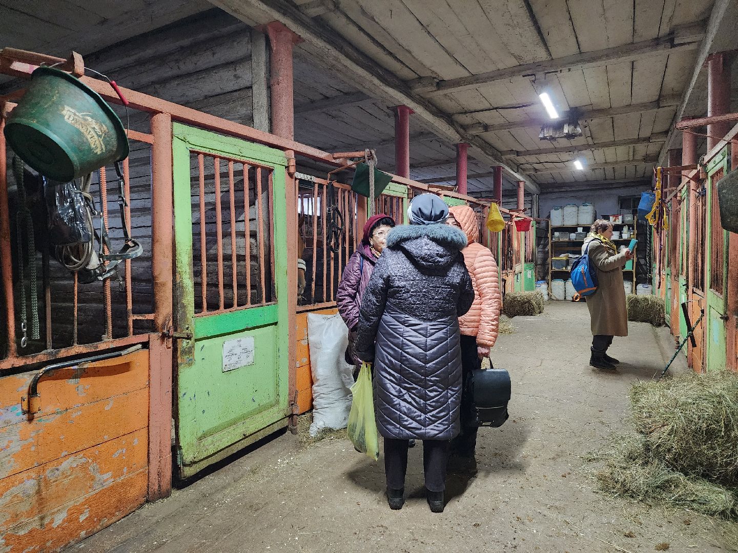 пушкино, конный клуб, активное долголетие, экскурсии,