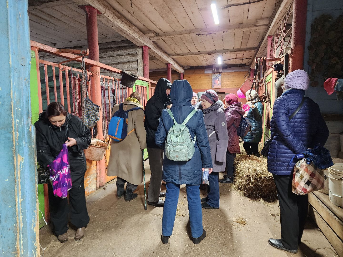 пушкино, конный клуб, активное долголетие, экскурсии,