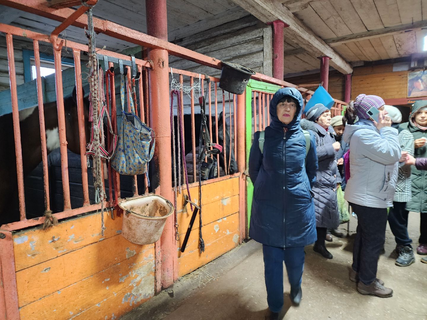 пушкино, конный клуб, активное долголетие, экскурсии,