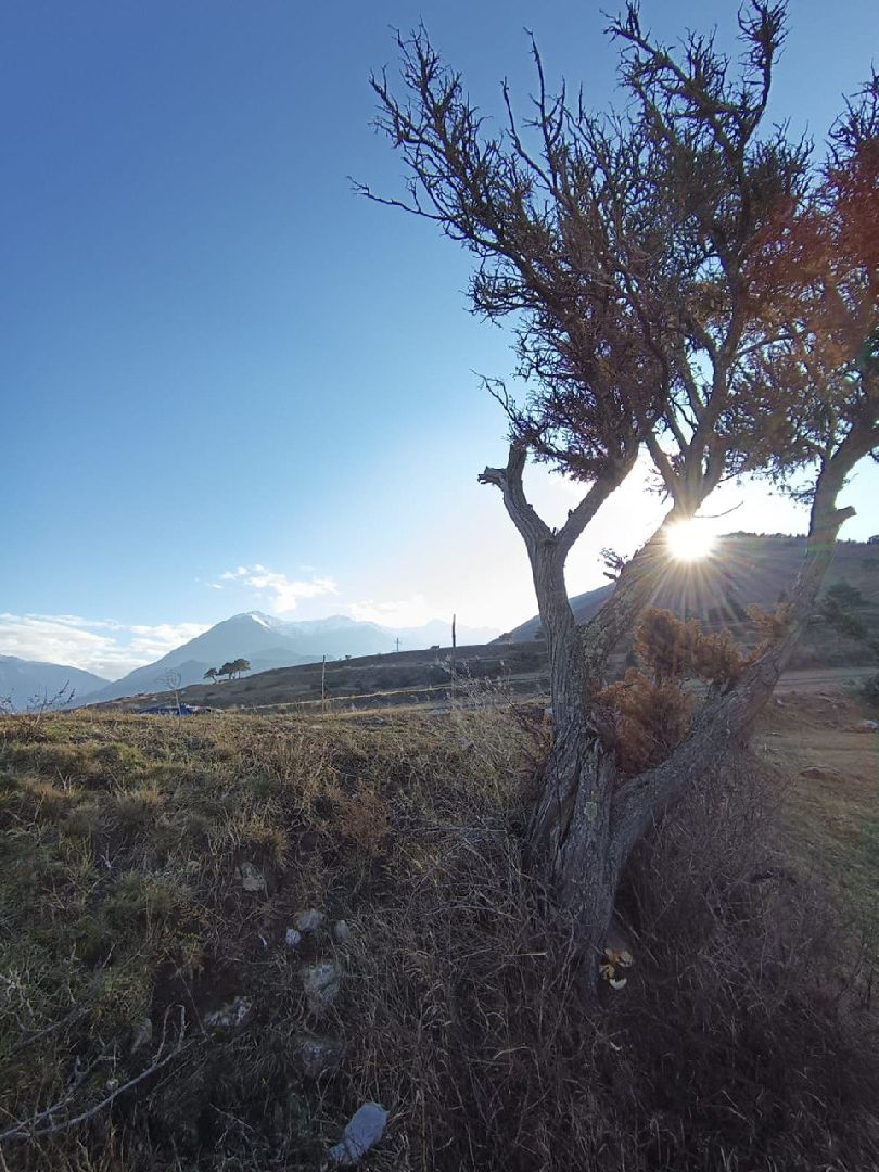 подмосковье, городской округ пушкинский, Ивантеевка, Пушкино, Культура, танцы, дети,