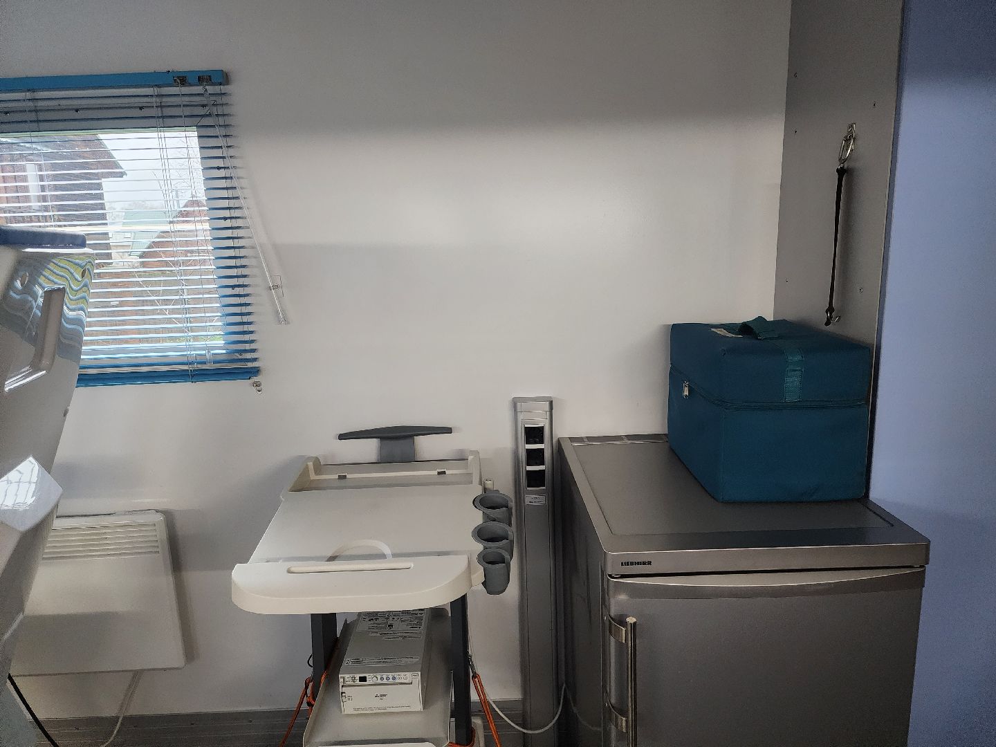 Звенигород, Медицина, Выездной фельдшерский пункт, Вакцинация о гриппа,