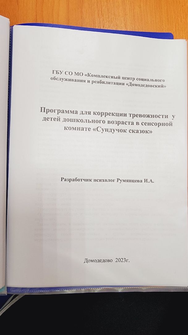 домодедово, подмосковье, социализация детей, реабилитация, социальная адаптация, комплексный центр, помощь детям, дети с ОВЗ, дети инвалиды, нуждающиеся семьи, защита населения, окружное управление, помощь нуждающимся, социальные услуги,