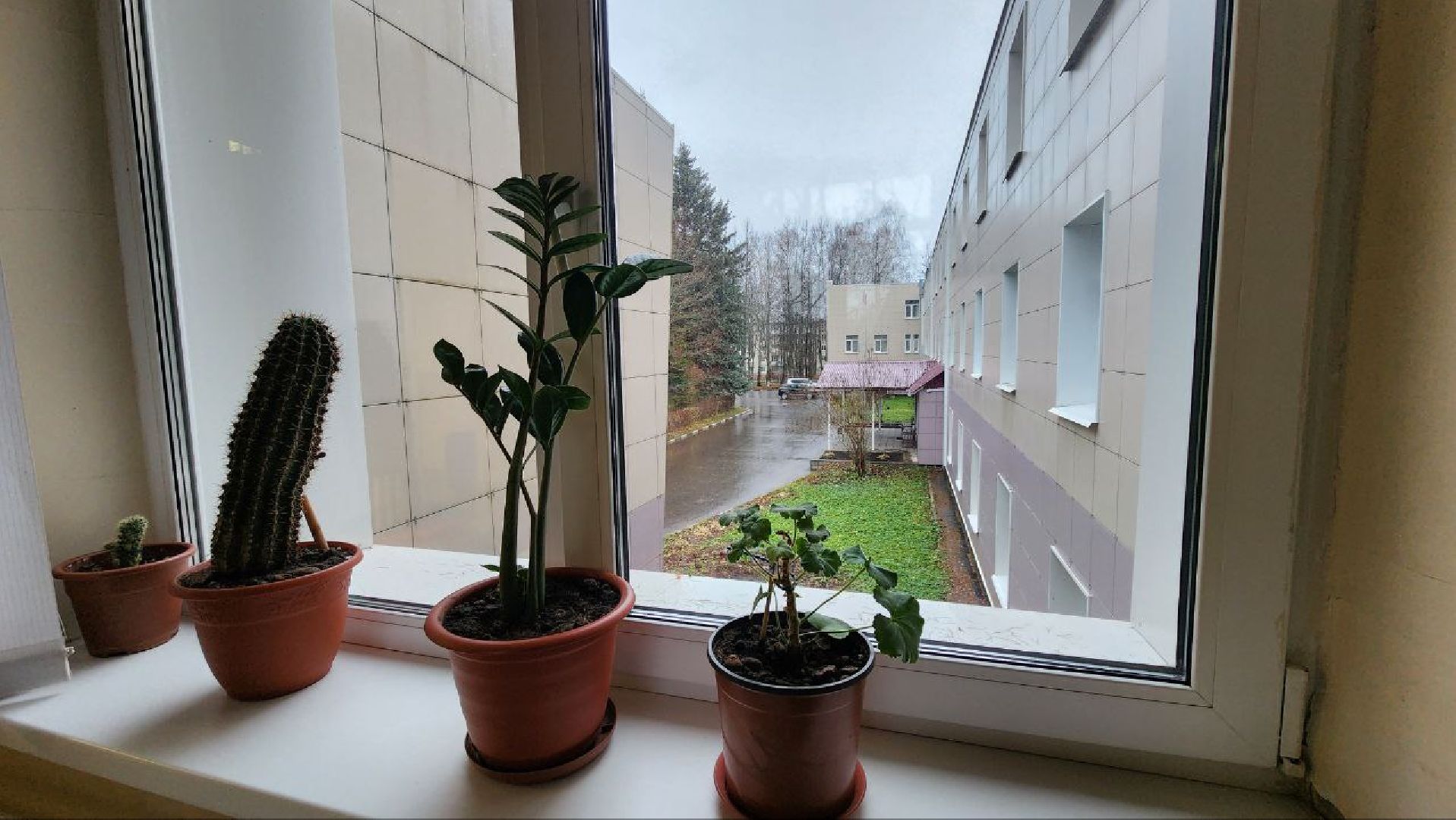 Дмитров, Синьковская поликлиника, Земский доктор,