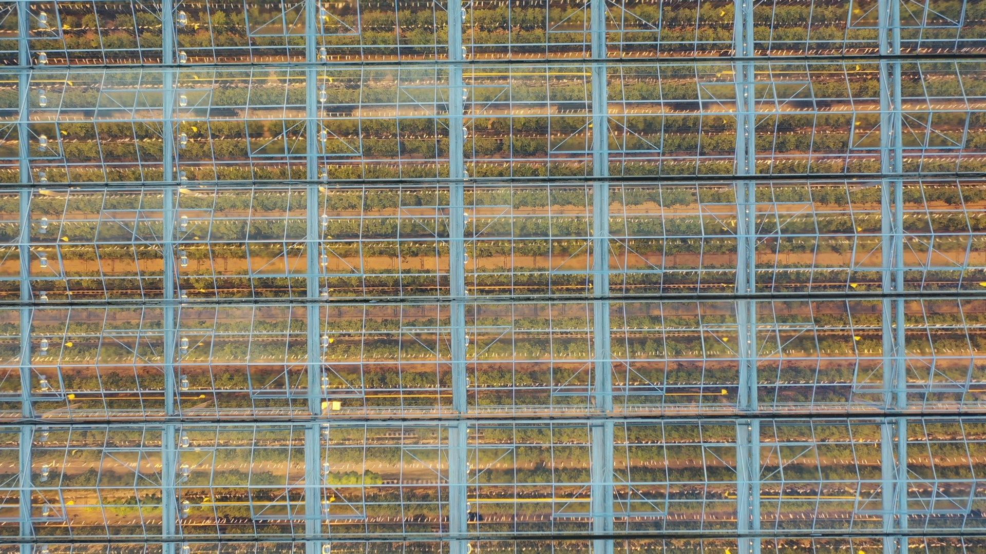 видео с коптера, воскресенск, урожай, видео с коптера,