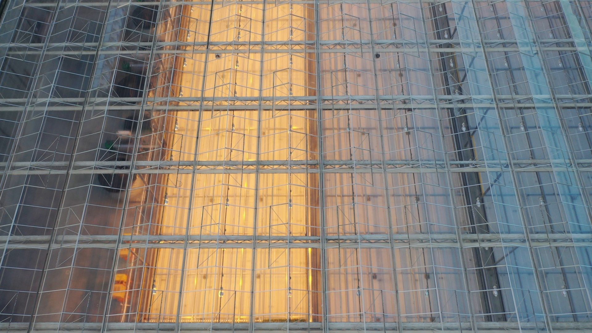 видео с коптера, воскресенск, урожай, видео с коптера,