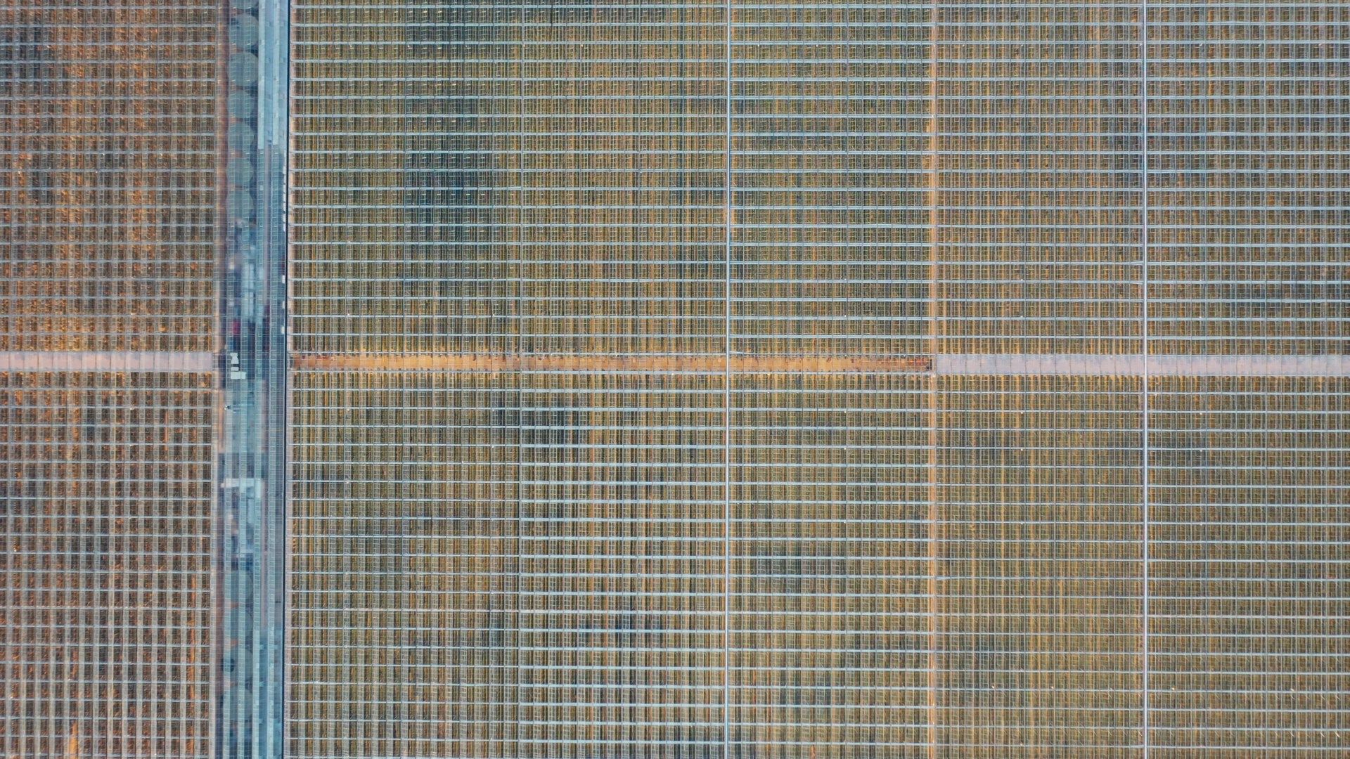 видео с коптера, воскресенск, урожай, видео с коптера,