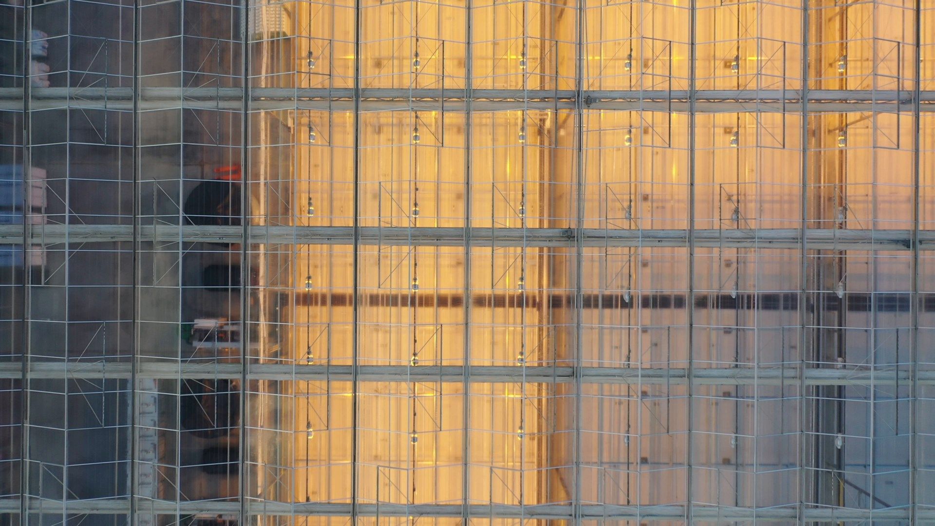 видео с коптера, воскресенск, урожай, видео с коптера,