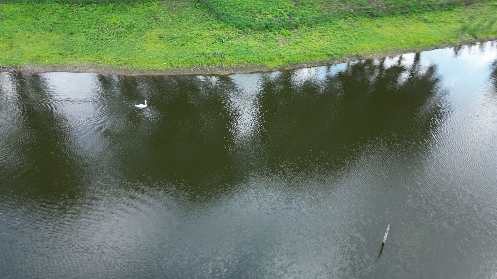 видео с коптера, лосино-петровский, усадьба, архитектура,