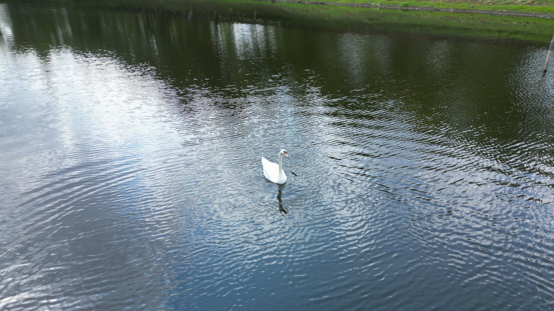 видео с коптера, лосино-петровский, усадьба, архитектура,