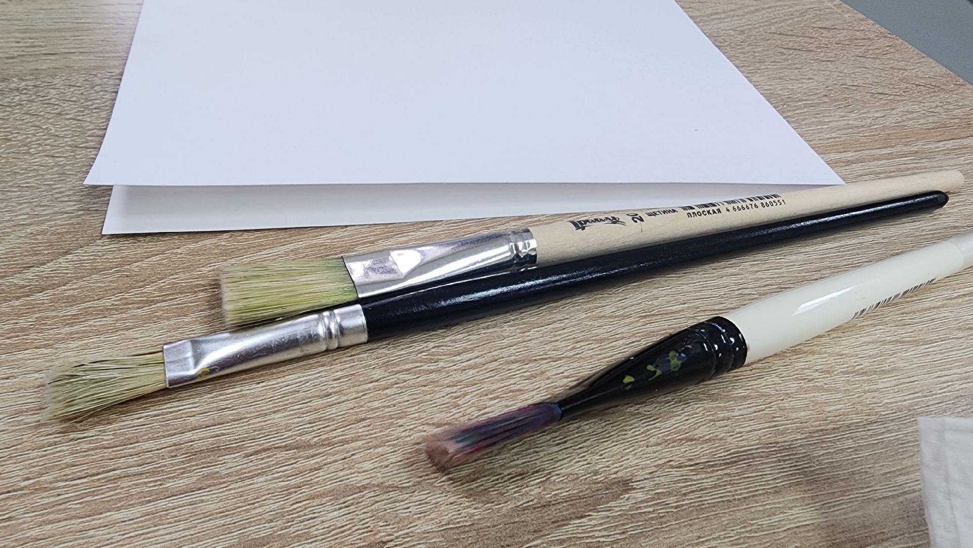 Подмосковье, городской округ пушкинский, ивантеевка, активное долголетие,