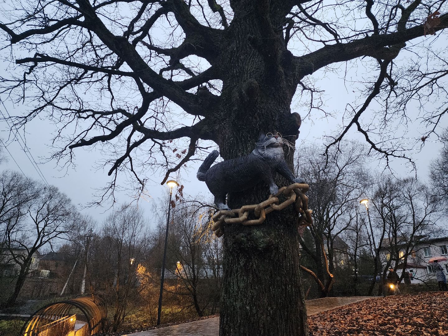 Парк,парки подмосковья, лукоморье, руза, рузский городской округ, московская область, подмосковье,