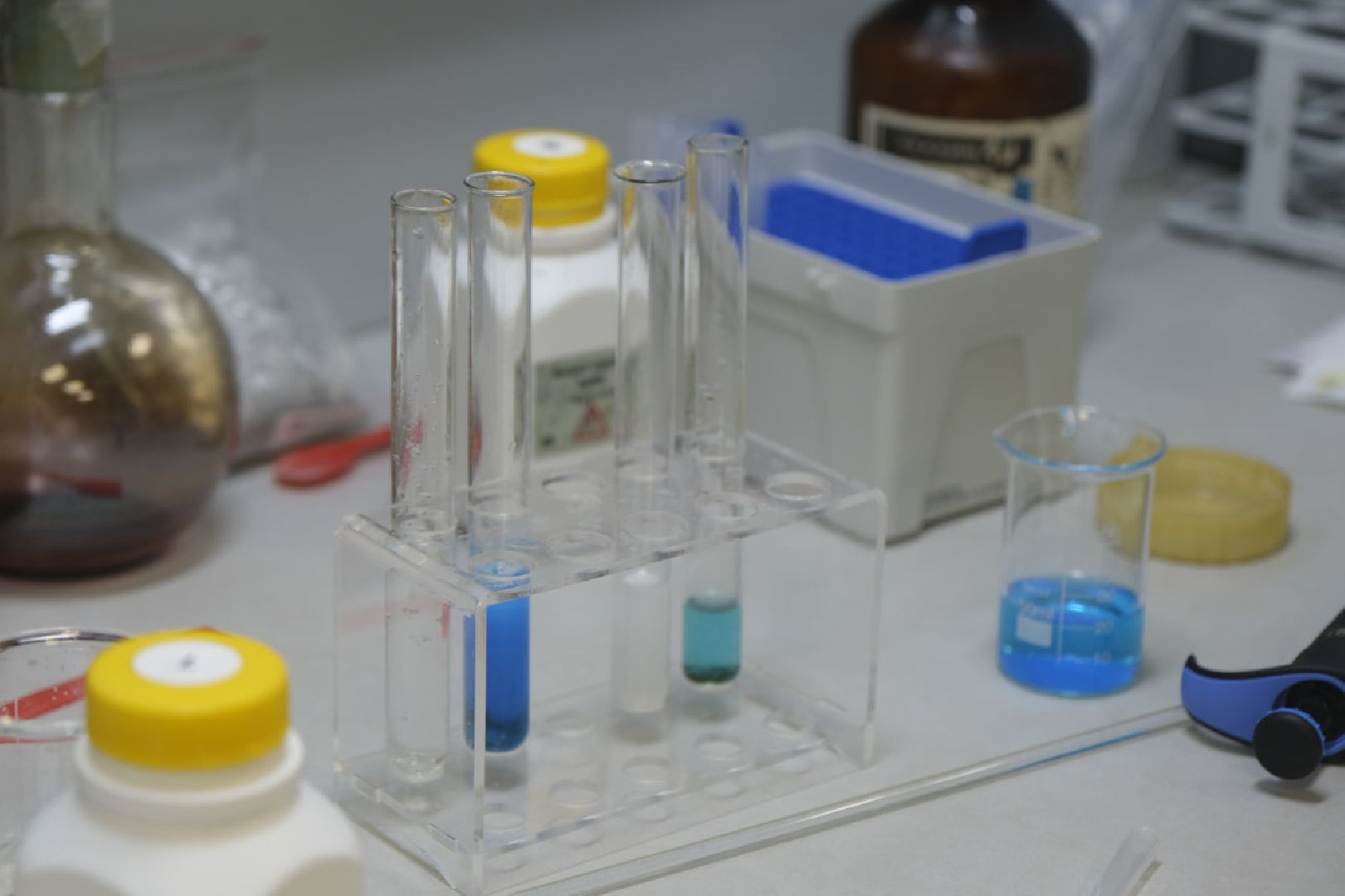 пущино, химия, образование,