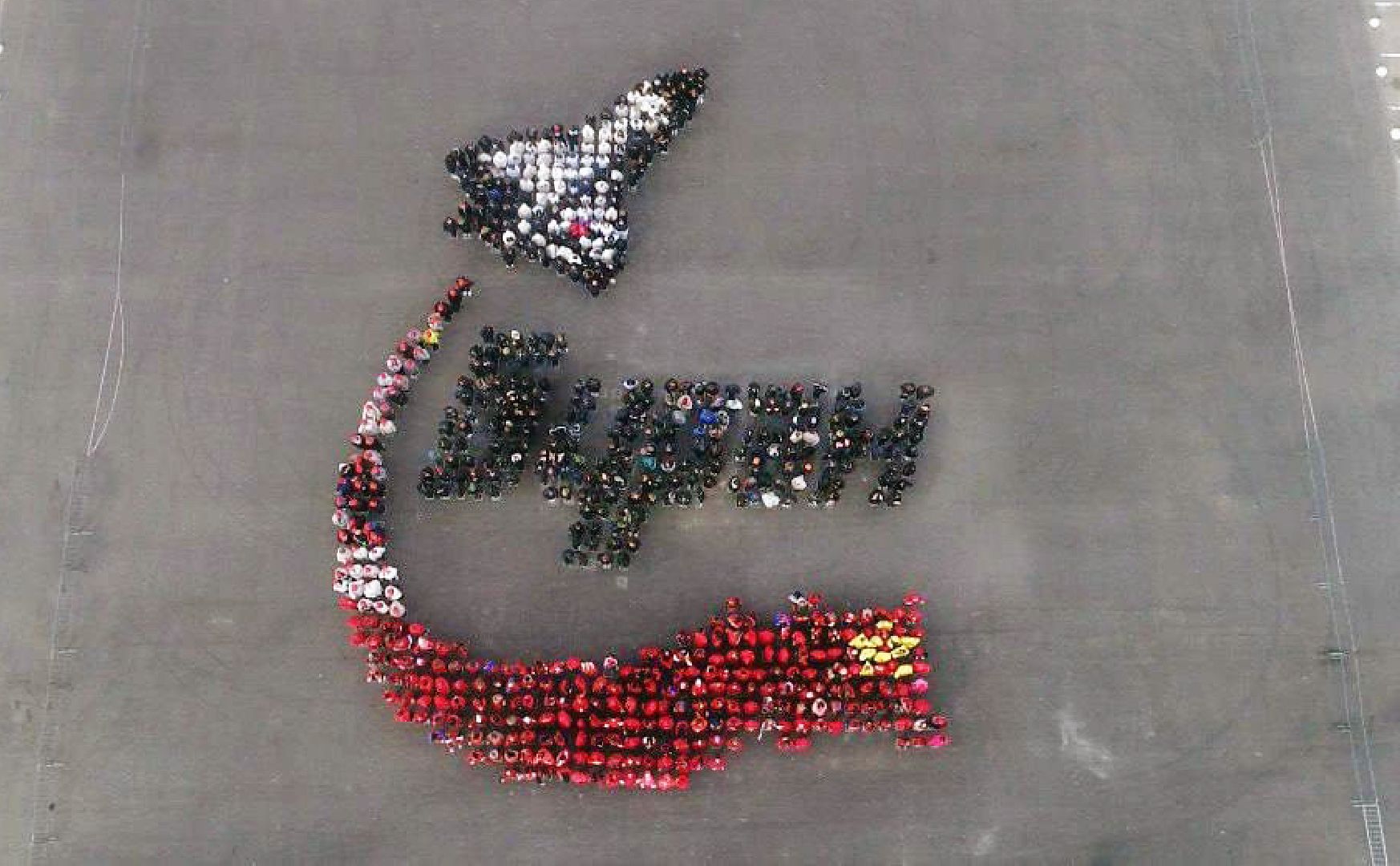 флешмоб, движение первых, акция, школьники, электросталь, история, история россии, космос,