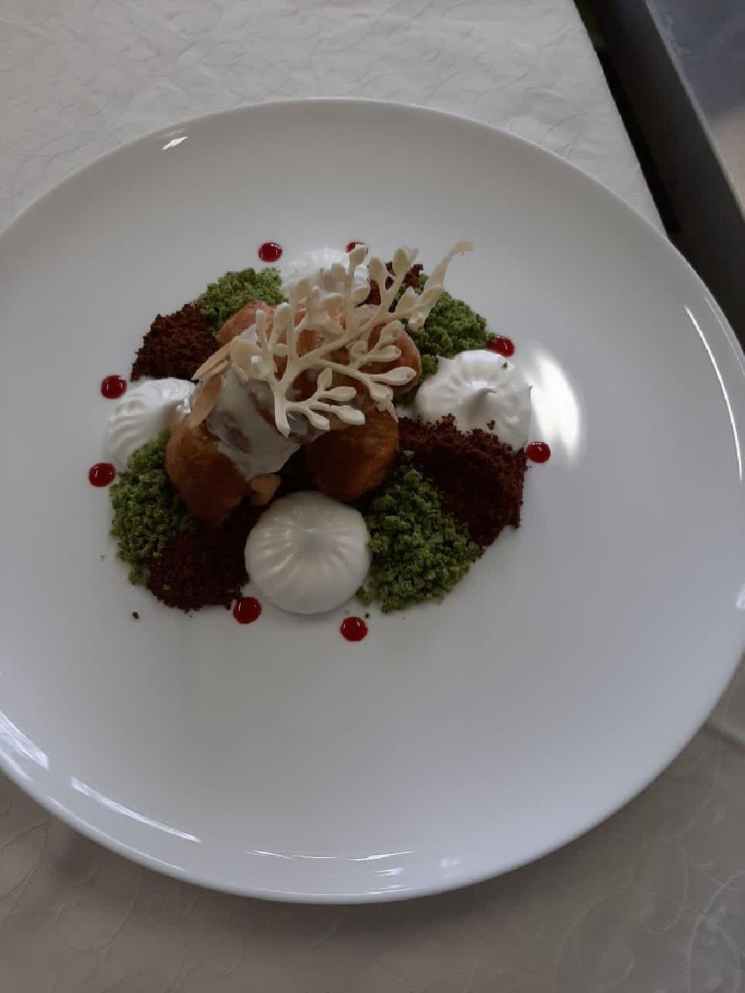 Дмитров, общество