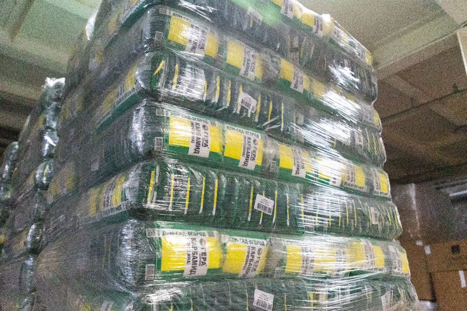 лыткарино, экономика, садоводство, импортозамещение, поддержка предпринимателей,