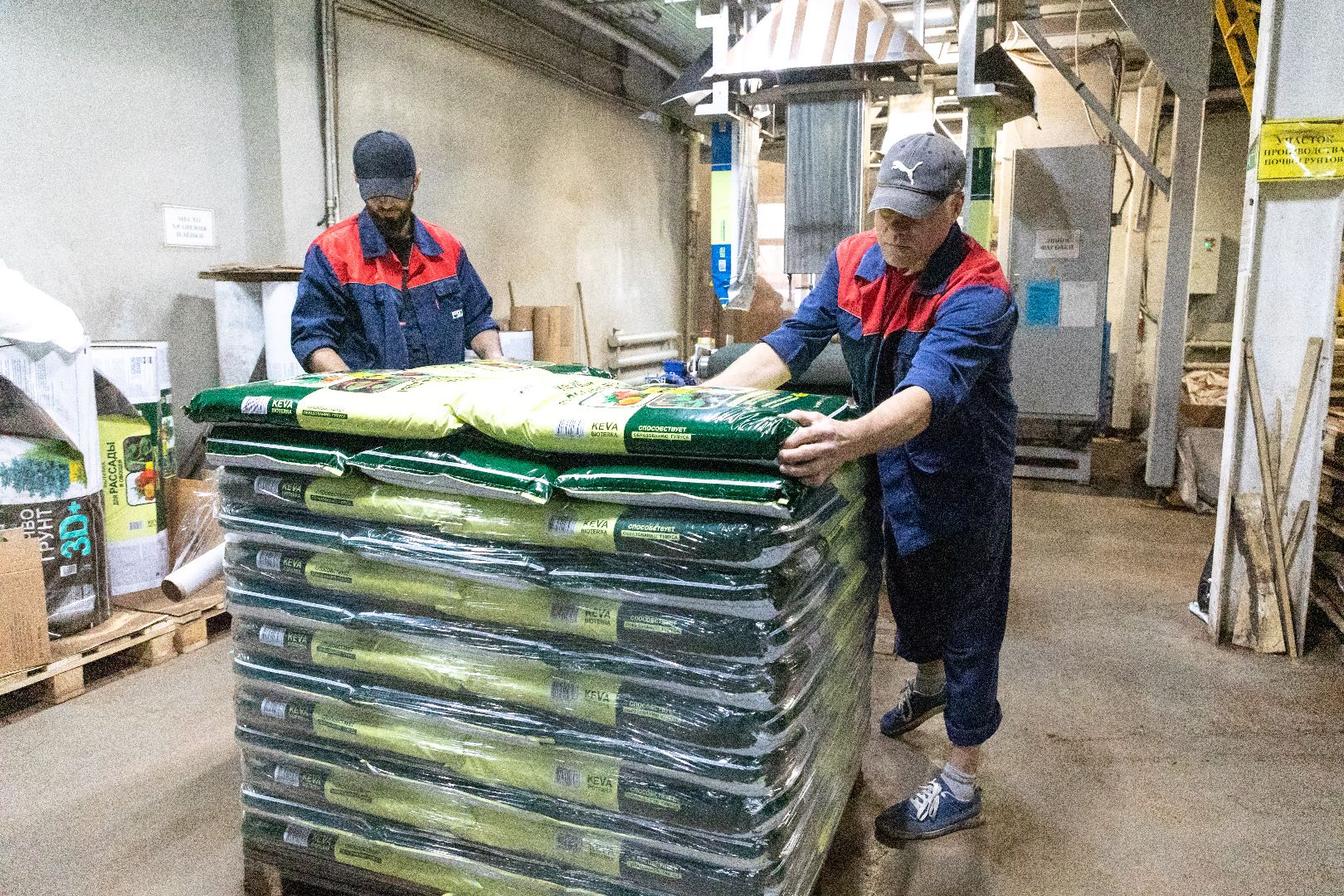 лыткарино, экономика, садоводство, импортозамещение, поддержка предпринимателей,