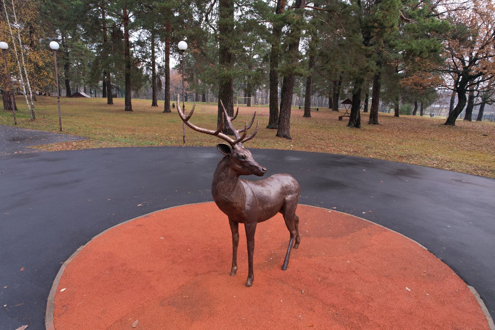видео с коптера, дубки, озеры, парк,