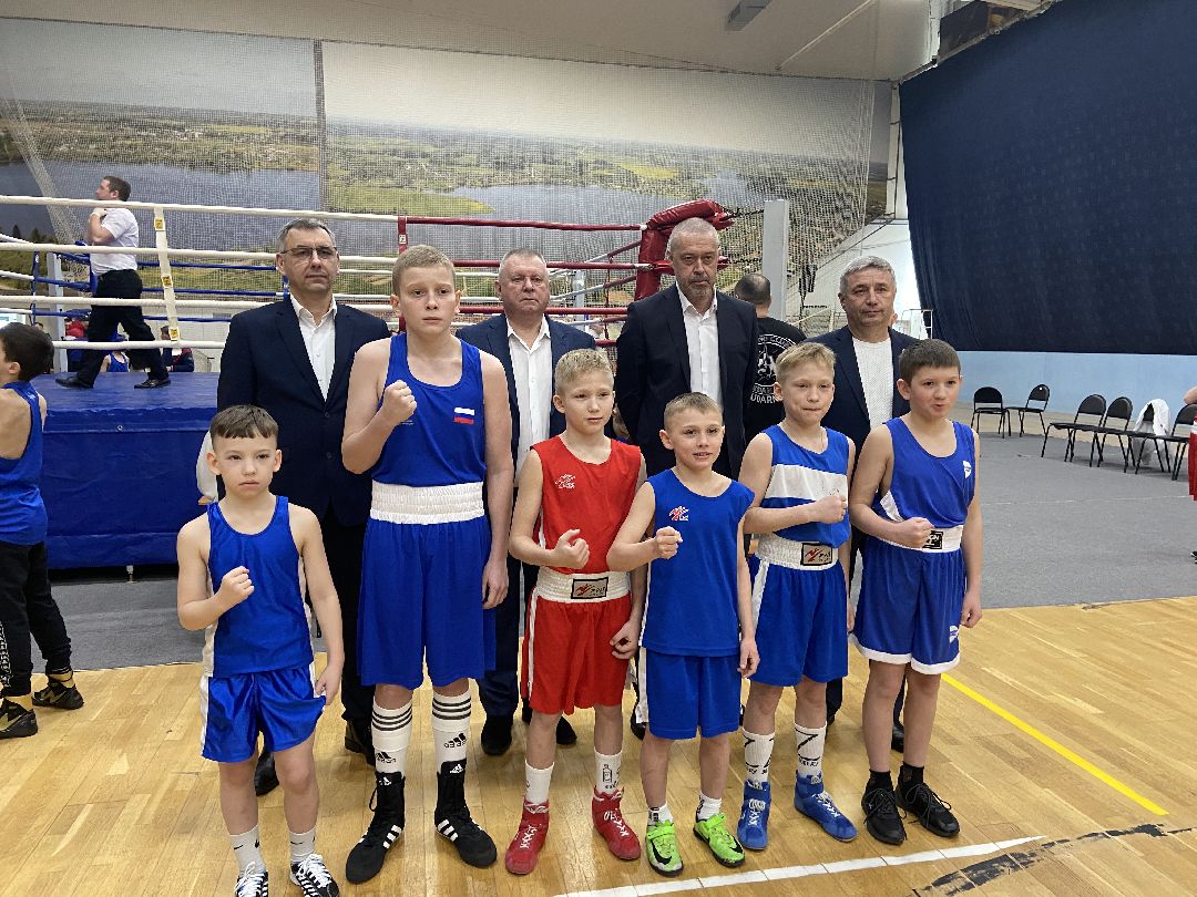Волоколамск, спорт, бокс, юноши, спортсмены, первенство, соревнования,