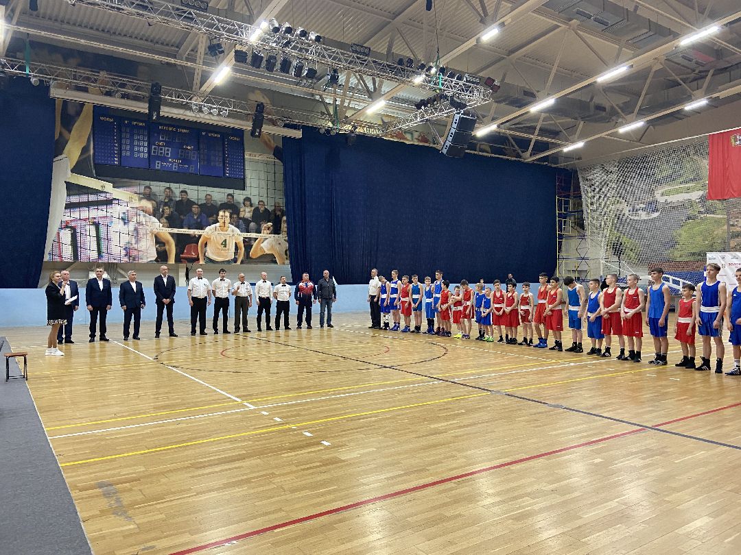Волоколамск, спорт, бокс, юноши, спортсмены, первенство, соревнования,