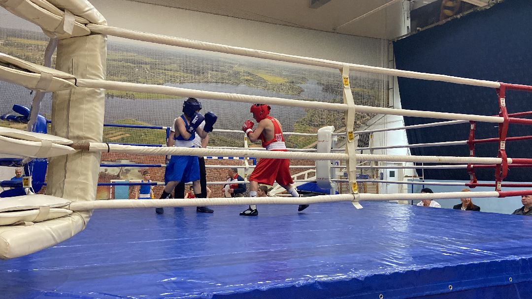 Волоколамск, спорт, бокс, юноши, спортсмены, первенство, соревнования,